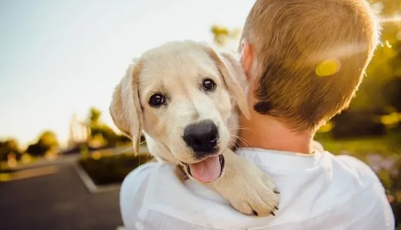 Pet Parenting: claves para la salud física y emocional de perros y gatos