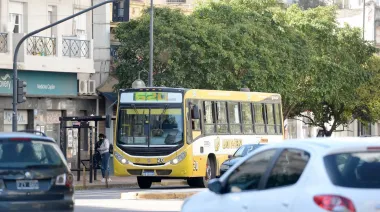 Licitación en La Plata: cómo serán y qué nombres podrían tener las nuevas líneas de micros
