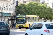 Licitación en La Plata: cómo serán y qué nombres podrían tener las nuevas líneas de micros
