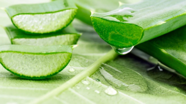 Cómo usar aloe vera en tu rutina de cuidado facial y sus beneficios