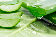 Cómo usar aloe vera en tu rutina de cuidado facial y sus beneficios