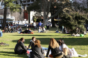 ¿Un paseo de 15 minutos puede cambiarte el día? La ciencia dice que sí
