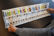 Se confirmó el diseño y el orden de la Boleta Única de Papel para los comicios de octubre
