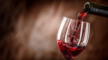 Sunset Wine Mixology: más de 40 bodegas, feria y fiesta en una sola noche en La Plata