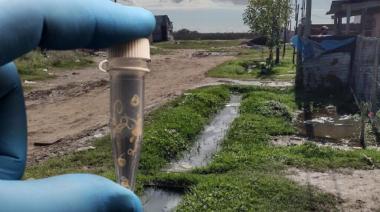 Parásitos invisibles: la amenaza silenciosa que aún enferma a los barrios más vulnerables