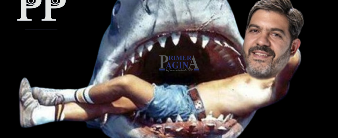 Trabas para Tiburón Bianco, que ataca de atrás: Kicillof empuja, pero Alak, Otermín, Ferraresi, Massa, Mayra y Mariel juegan fuerte