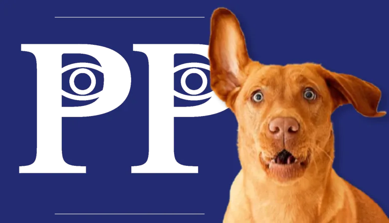 ¿Cómo lograr que tu perro venga cuando lo llamás?