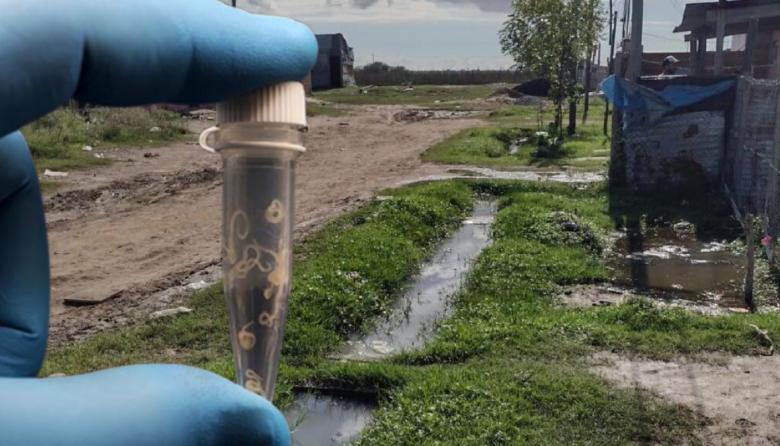 Parásitos invisibles: la amenaza silenciosa que aún enferma a los barrios más vulnerables