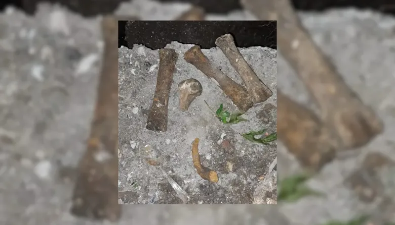Un cráneo bajo el pasto y una duda clave: la justicia busca el origen de los restos en Los Hornos