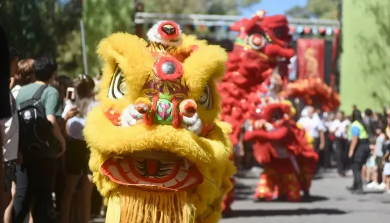 La Plata se viste de gala para el Año Nuevo Chino: el "Caballo de Fuego" llega a Plaza Moreno con un festejo récord