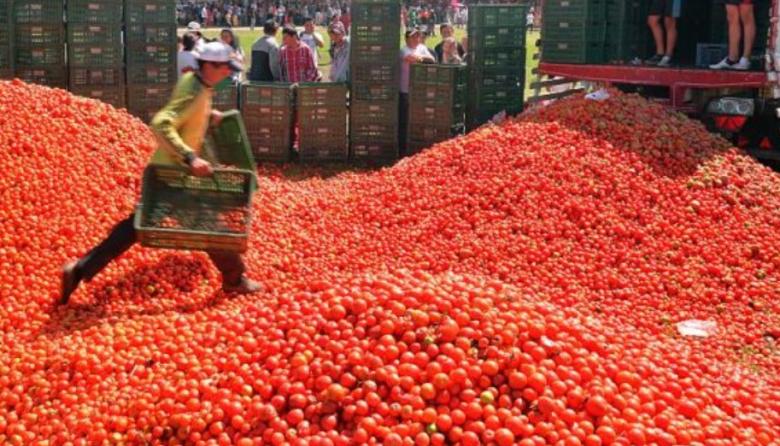 Los del Fuego en Punta Lara y Fiesta del Tomate en Gorina: imperdible agenda cultural en La Plata