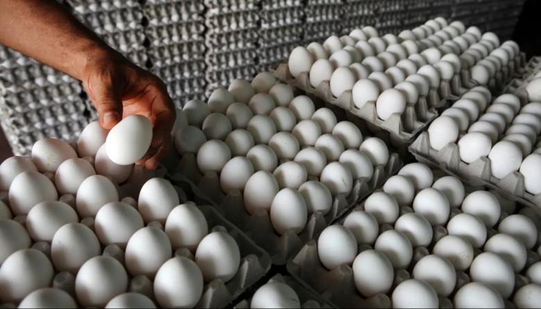 Arturo Segui: una familia de "hueveros" sufrió un millonario robo en su casa rural