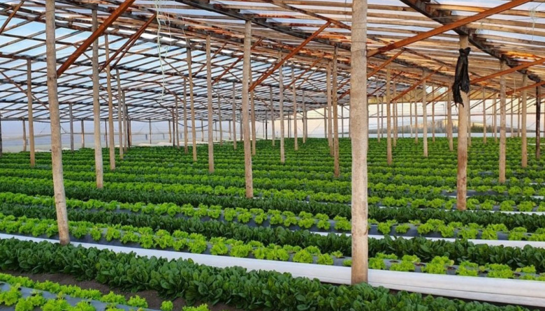 La Plata: piden informes a Alak por crisis del cordón frutihortícola