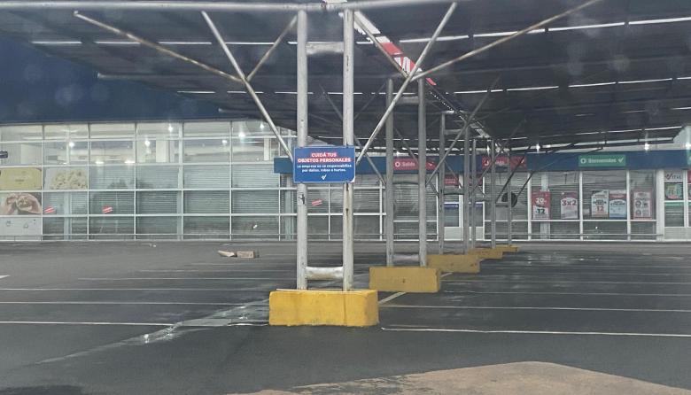 ¡Gusanos, gorgojos y peligro total!: clausuran el mayorista Vital tras una inspección de terror