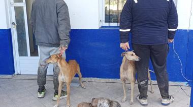 Sancionados por realizar caza con perros