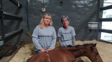El hospital equino en peligro que forma a estudiantes de la UNLP y salva caballos maltratados