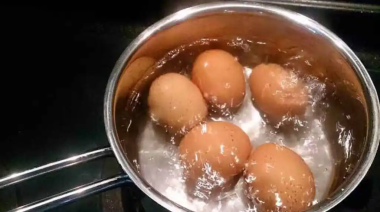 Agua de cocción de huevos: ¿sirve como fertilizante natural?