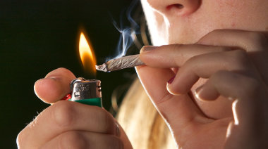 ¿Fumás marihuana todos los días? Un nuevo estudio te va a dejar pensando