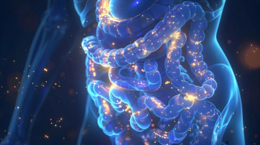 Nuevo metabolito intestinal clave en diabetes y hígado graso