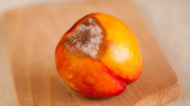 ¿Se puede comer fruta con moho de la heladera o hay que tirarla entera?