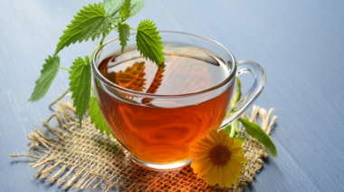 ¿Tomar té todos los días realmente hace bien o es puro verso?