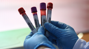 Fabricar sangre en laboratorio: un paso clave para todos