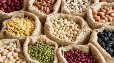Alimentación entrenamiento fuerza efectividad