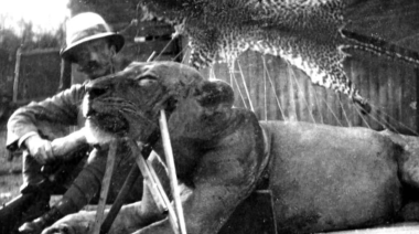 Leones de Tsavo: la leyenda oscura