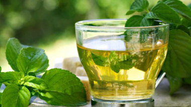 Té de boldo: propiedades, beneficios y cómo ayuda a la digestión
