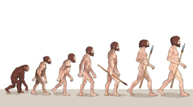 El misterio del mentón humano