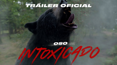 El oso que murió por 40 kilos de cocaína de un narco