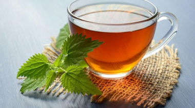Té verde y té negro: diferencias y beneficios para bajar de peso