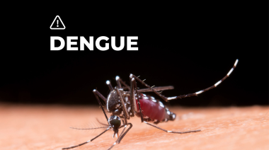 La Plata activa plan contra el dengue para evitar epidemia