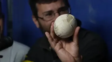Paleontólogos de la UNLP descubren fósiles únicos de dinosaurios en Río Negro