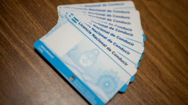 Investigan una red que vende licencias de conducir truchas en La Plata por redes sociales