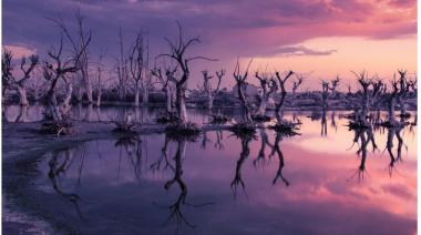 CAMBIO CLIMÁTICO | Pinamar, Gesell, MDQ, Ensenada, Quilmes, Tigre y Bahía desaparecerían bajo el agua