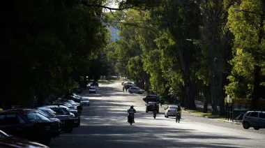 Terror en el Bosque: dos delincuentes robaron y abusaron sexualmente de un joven en plena madrugada