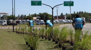 LA PLATA | La avenida 44 empieza una nueva etapa: más verde, más identidad y un paisaje pensado para durar