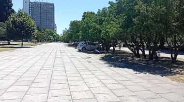 LA PLATA | Se descompensó al volante, chocó contra un árbol y destruyó un puesto de comidas en Plaza Moreno