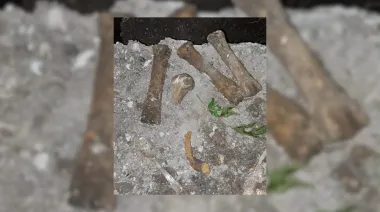 Un cráneo bajo el pasto y una duda clave: la justicia busca el origen de los restos en Los Hornos