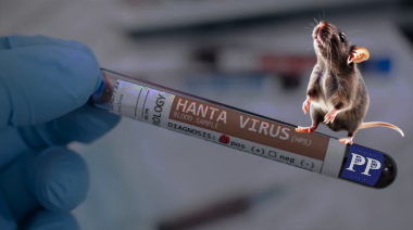 Hantavirus en La Plata: alarma por aumento de contagios, seis muertes y máxima prevención