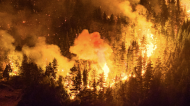 Incendios forestales en la Patagonia: dónde hay focos activos y cómo está la situación en el sur