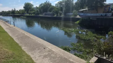 Aguas tóxicas en Berisso: el alarmante avance de las cianobacterias que amenaza la salud y llega al Río de la Plata