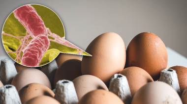 Salmonella: alimentos comunes que pueden enfermarte y cómo prevenirla