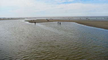 Peligro en la ribera: científicos alertan que el colapso cloacal convirtió a las playas de Berisso en una bomba sanitaria