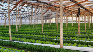 La Plata: piden informes a Alak por crisis del cordón frutihortícola