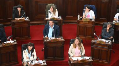 Tensión en el Concejo de La Plata: cruces por el nuevo sistema de transporte