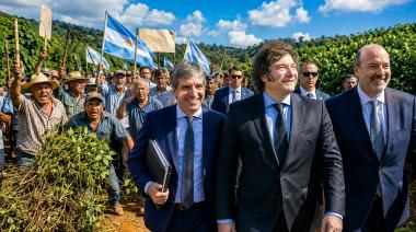 Jaque mate: Milei llega hoy a Misiones y lo esperan centenares de yerbateros que se están fundiendo