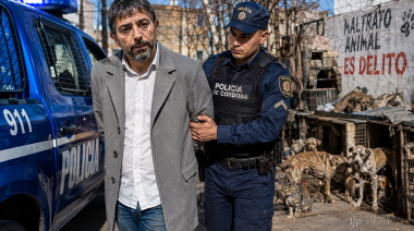 Córdoba: confirmaron la condena a cárcel para un ex intendente por la matanza de 211 animales