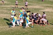 Albatros salvó el prestigio de La Plata en otro sábado gris para el rugby